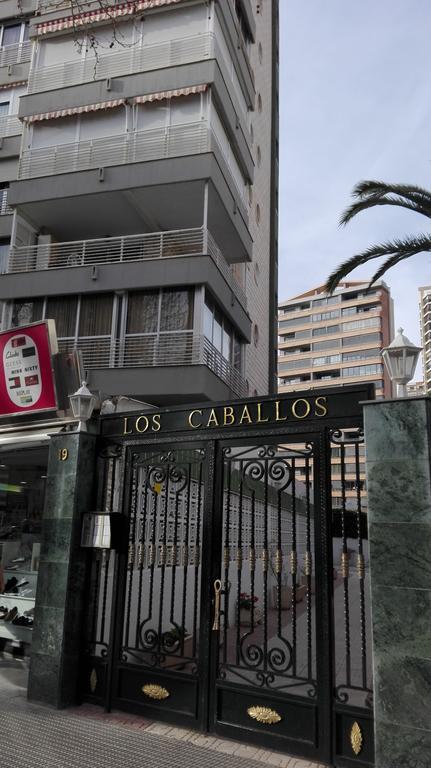 Apartamentos Los Caballos Benidorm Eksteriør billede
